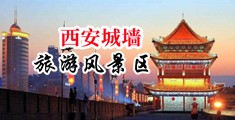 亚洲近亲黄色视频大全中国陕西-西安城墙旅游风景区